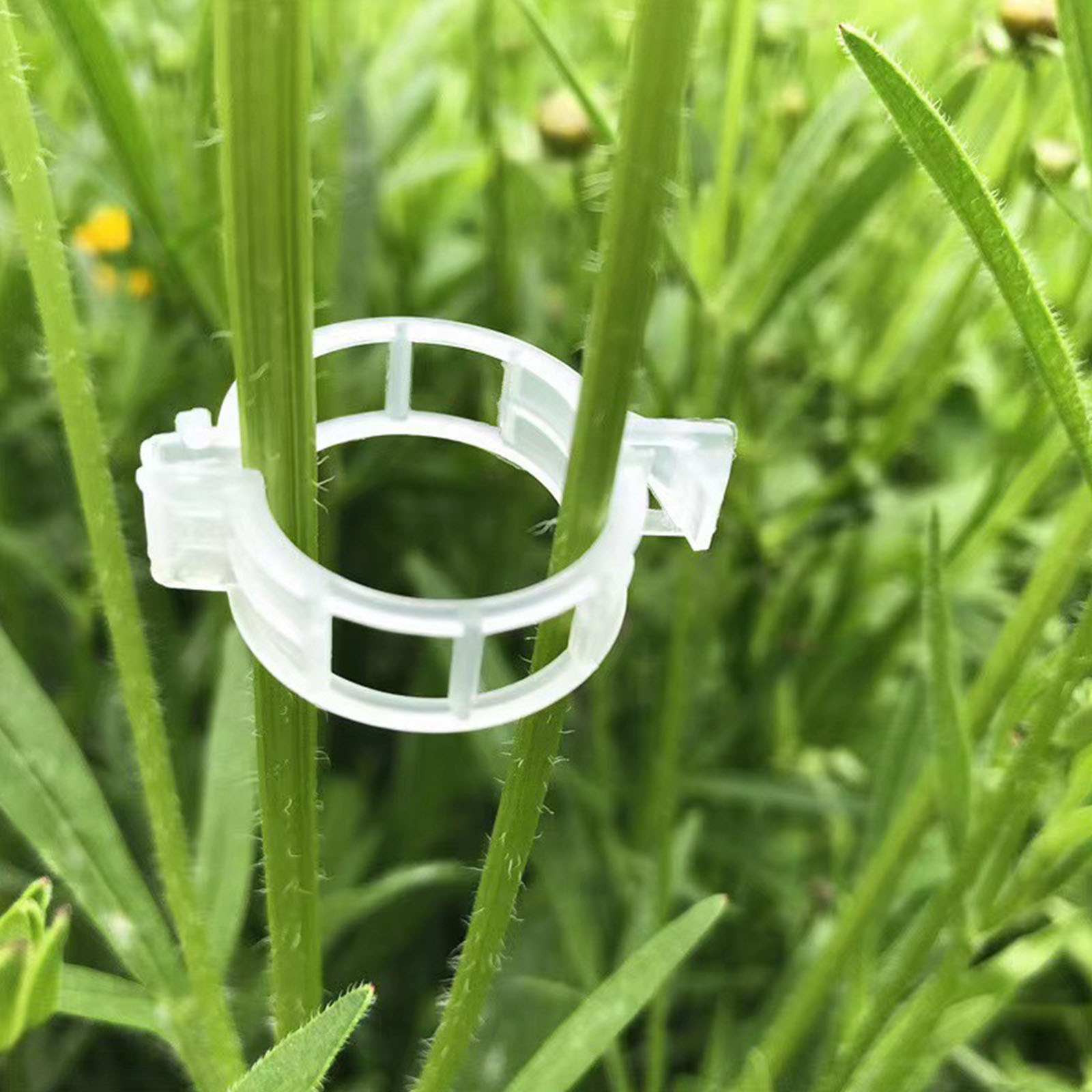 Vine Climbing Plastic - Пластиковые зажимы для растений: многоразовые, простые