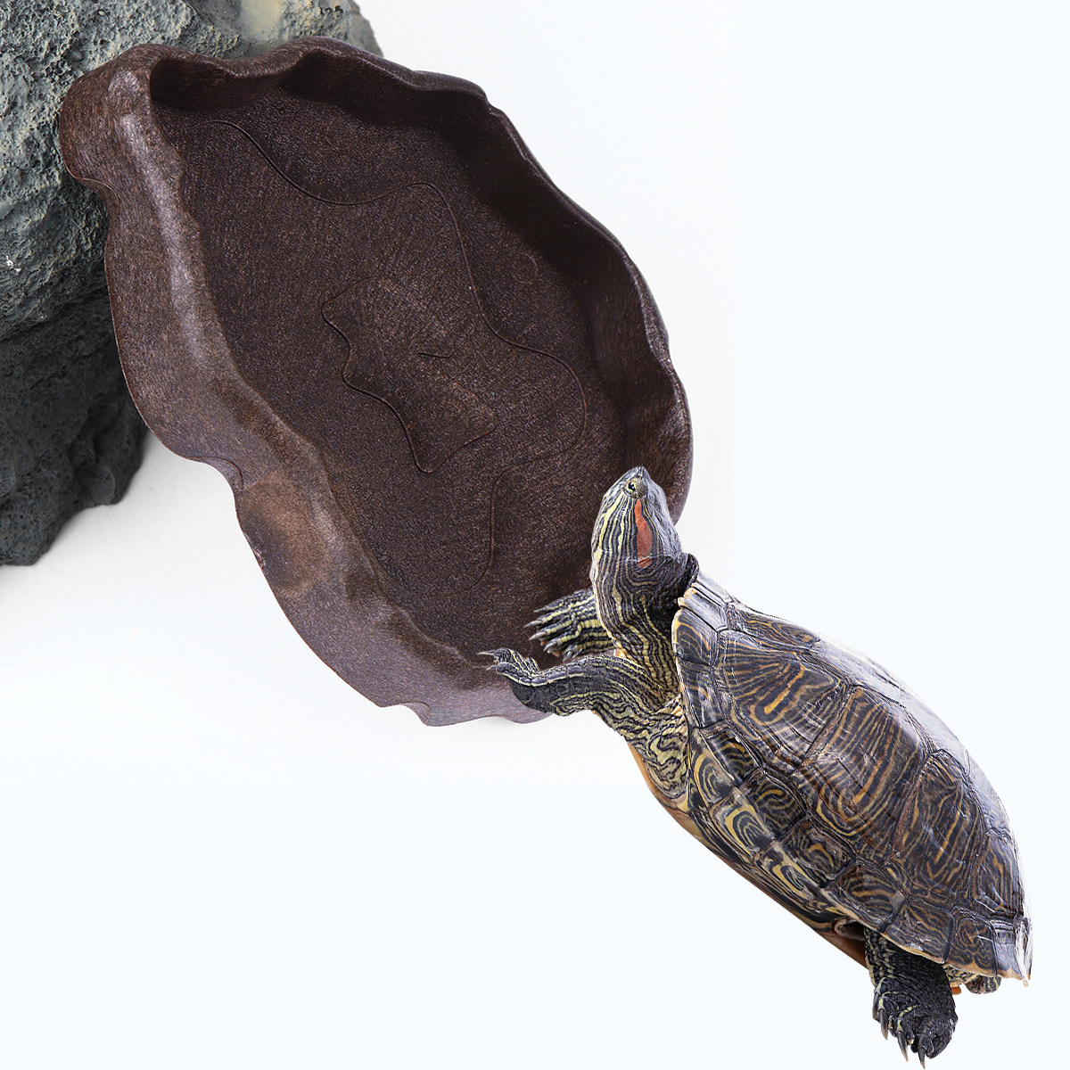 Миска для корма из полимерной  – обзор и цена Water Dish Reptile