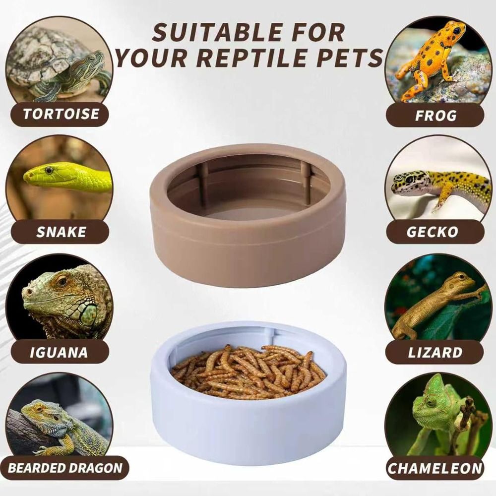 Портативная непроливаемая миск – обзор и цена Water Dish Reptile