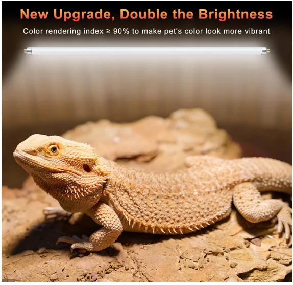 Набор из 2 штук: 8 Вт T5 UVB 1 – обзор и цена Vitamin D3 Reptile