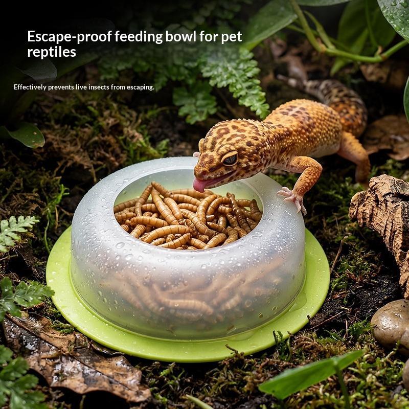 1 шт. Кормушка для рептилий из – обзор и цена Water Dish Reptile
