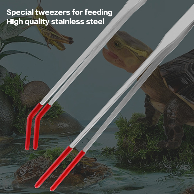 Щипцы для кормления рептилий и – обзор и цена Feeding Tong Stainless